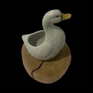 White Duck Ceramic Planter